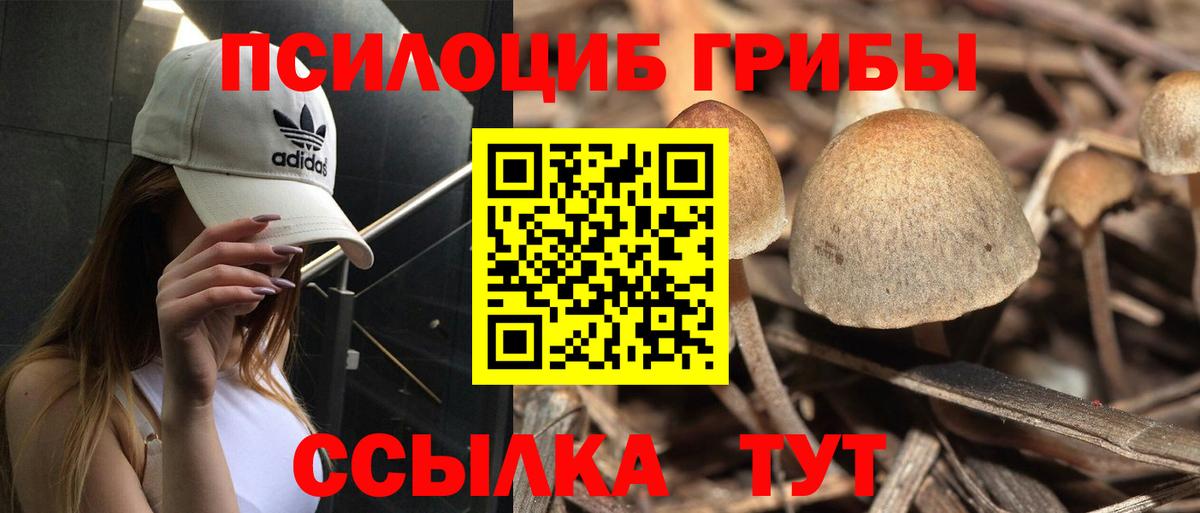 Галлюциногенные грибы ЛСД Зеленокумск